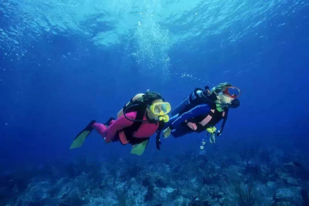 4399特战英雄